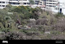 Towers of silence mumbai hi-res stock ...