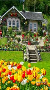A Lil Paredise House Beautiful Gardens Beautiful Flowers Garden Beautiful Homes