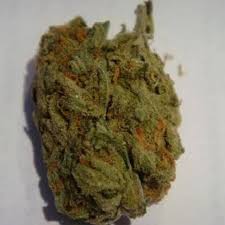 The g13 haze strain is the result of crossing the mysterious g13 with haze, a popular sativa known for its. G13 Haze Marijuana Strain Uk Buy Marijuana Weed Uk