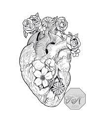 Tattoo Artwork Designs Phoebus Tattoo Studio St Petersburg Fl Tampa Anatomical Heart Drawing Anatomical Heart Tattoo Heart Drawing