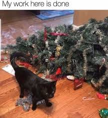 Pin By Freya On All Things Christmas Christmas Cats Cats Cute Cat Gif