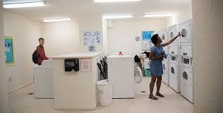 The best selection of royalty free laundry service vector art, graphics and stock illustrations. Laundry Services Uofsc Aiken