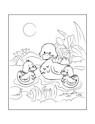 All kids like to play with their sisters and brothers and do fun stuff. Free Duck Coloring Pages For Download Printable Pdf Verbnow