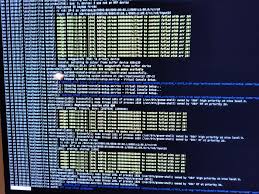 Is 493xds5.0 a Build ID, Version Number, or Framework?