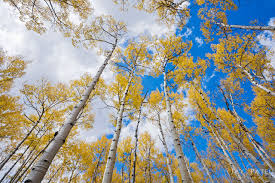 See more ideas about photography, photography inspiration, photography gallery. 5 Effective Exercises For Creative Nature Photography