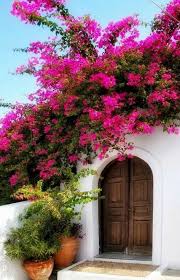 Saraf صراف meaning in english exchanger : 67 Jenny Ideas English Exam English Exam Papers Jenny