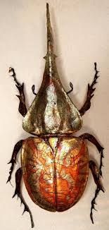Matana Dynastes Hercules Fimo Und Schlagmetall Kafer Insekt Insektenkunst Insekten