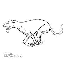 They're great for all ages. Dog Greyhound Running Coloring Page