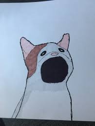 Pop cat meme compilation pizzamemes. I Tried To Draw Pop Cat And It Turned Out Interestingly To Say The Least Teenagers