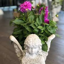 Best tip filling large outdoor planters much. Large Concrete Angel Planter Plumeria Botanical Boutique