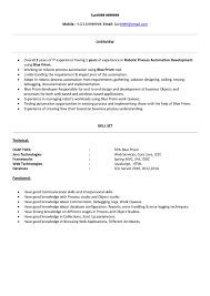 rpa developer cv december 2020