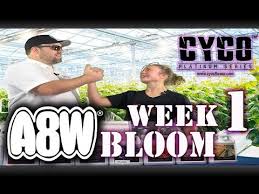 A8w Cyco Nutrients Wk 1 Bloom Feed Chart How To Se1 Ep4 Official Video