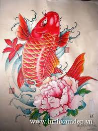 Hình tattoo cá chép koi thường có nhiều màu sắc khác nhau, mỗi màu sắc tương dương với một ý nghĩa. Hinh XÄƒm Ca Chep Hoa Máº«u Ä'Æ¡n 14 Hinh XÄƒm Máº«u Ä'Æ¡n Hoa Máº«u Ä'Æ¡n