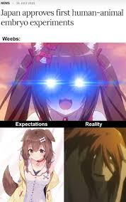 Reality Is Often A B Tch Animemes Anime Memes Anime Funny Anime