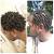 Two Strand Twist Starter Locs
