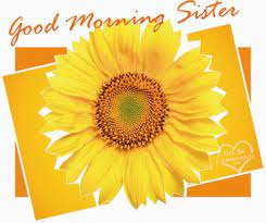 Good morning, little sister and i love you so much. Good Morning Sister Quotes Quotesgram