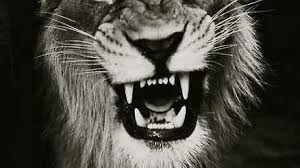 She has starred in five movies, in a career spanning 1977 to 1979. Ling Ling On Tumblr