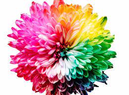 Помогает подобрать цвет (hex, rgb, rgba, hsv и cmyk). Why Facebook Is Blue The Science Of Colors In Marketing