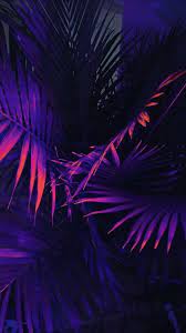 Pin by martina xdd on wall purple aesthetic dark purple aesthetic purple wallpaper iphone. Purple Aesthetic Hd Wallpapers Wallpaper Cave