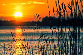 Pogoda na dziś, jutro, weekend i 14 dni. Pogoda Na Majowke 2021 Poznan Pogoda Dlugoterminowa Na Weekend Majowy W Wielkopolsce Poznan Eska Pl