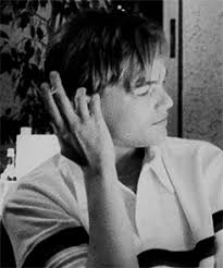 Robb, starring leonardo dicaprio, tobey maguire with kevin connolly. Dons Plum Tumblr Posts Tumbral Com