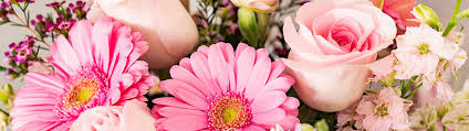 Shop for flowers online and get a discount when you use a 1800flowers coupon from valpak.com. 1 800 Flowers Ca Airmilesshops Ca