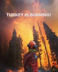 Wild turkey broods also use burned areas, with a preference for annually burned pine stands (sisson et al. 53bohpcubkz Mm