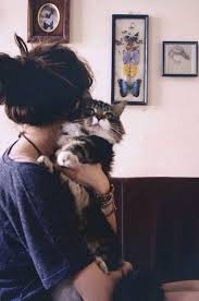 Tammy Subia Adli Kullanicinin Exoduscreamcheese Panosundaki Pin Cilgin Disi Kedi Kediler Ve Yavrulari Sevimli Kedi Yavrulari