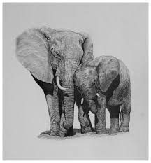 Baby Black And White Elephant Pictures Elephant Mother And Calf Graphite Drawing Elephant Calf Drawing Pencil Sketch Sketchbook Art Artist Animal Drawings Elephant Baby Drawing