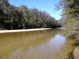 Amenities include toilets, hot showers, gas camp kitchen, kids playground, big top undercover area and you can bring your dogs. Location Pura Vida