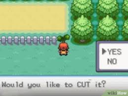 How To Get All Of The Hms On Pokemon Firered And Leafgreen