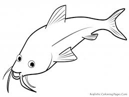 Search through 623,989 free printable colorings at getcolorings. Fish Coloring Pages Realistic Baby