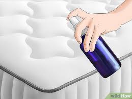 Hatte das auch mal und hab das dann in die waschmaschine gesteckt und. Eine Matratze Von Erbrochenem Reinigen 12 Schritte Mit Bildern Wikihow