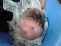 Tetapi membeli kado bayi kembar juga harus mempertimbangkan manfaat dan budget yang anda miliki. Infobestawaufm Info Kemalangan Bencana Malaysia Facebook