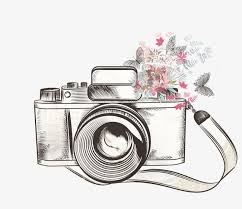 Fine Ragdoll Material Free Buckle Png Poster Decoration Painted Camera Creative Camera Vector Camera Drawing Camera Art Vintage Cameras Art