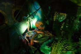 And the sea is precisely their best vehicle, the only medium through which these giants (against which terrestrial animals, such as elephants or rhinoceroses, are as nothing) can be produced or developed. 20 000 Leagues Under The Sea Tokyo Disneysea