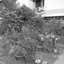 Grow your own food and vegetables and know different types of gardening. Pdf House Garden As A Symbol Of Place Identity And Sense Of Belonging For Low Cost Flat Residents In Urbanizing Malaysia