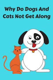 Why Do Dogs And Cats Not Get Along Dog Cat Cats Dog Advice