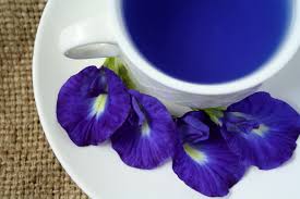 The beverage is also quite popular in indonesia for the same reason. Sisternet Selain Warna Yang Ajaib Bunga Telang Ternyata Segar Dibuat Minuman Intip Resepnya Yuk
