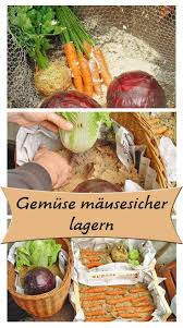 Ihr Garten Ernte So Viel Dass Sie Ihn Nicht Sofort Essen Konnen Der Ge Garten Aufbewahrung Gemuse Garten Bepflanzen