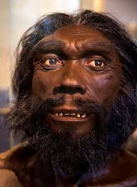 🌍✨ Los europeos eran en su mayoría de piel oscura hasta la época romana,  sugiere el ADN antiguo. ✨🌍 ¿Sabías que los europeos fueron en su mayoría  de piel oscura hasta la