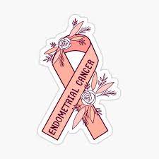 We carry peach awareness ribbon shirts and gifts to make your cause known. Endometrium Stickers Redbubble