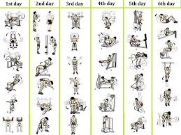 best 6 day workout routines for men no 1 bodybuilding and