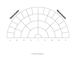 50 free family tree templates word excel pdf