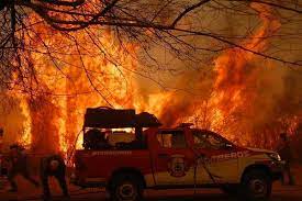 Medidas de alivio fiscal y reclamo de aplicación de ley de manejo del fuego. Musicos Reaccionan Contra Los Incendios Forestales En Argentina