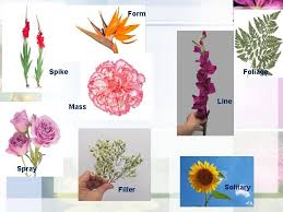 The majority of the arrangement. Flower Types For Floral Design Flower Types Flowers
