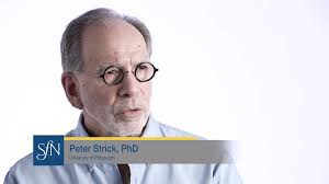 The Value of Animal Research and How to Increase Support