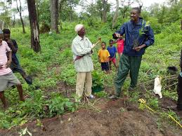 LIFFT-Cashew Project in Senegal, Gambia and Guinea-Bissau