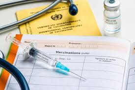 Un vaccin sigur și eficace este cea mai trainică soluție de ieșire din pandemie. Coronavirus Certificat De Vaccination Europeen Un Sujet Sensible 24 Heures