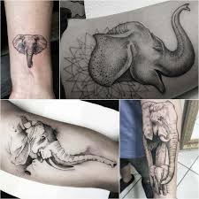 Just talk with your professional tattoo artist and get a good suggestion related to your selected design. Elephant Tattoo Designs Most Popular Elephant Tattoos With Meaning